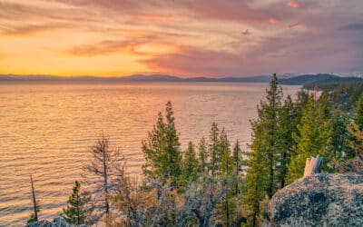 Resort Concierge Escapes Reviews North Lake Tahoe Spring Events