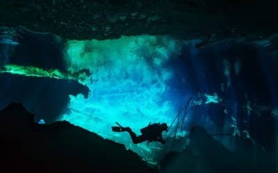 Resort Concierge Escapes Reviews Guide to Thrilling SCUBA Diving in Aruba