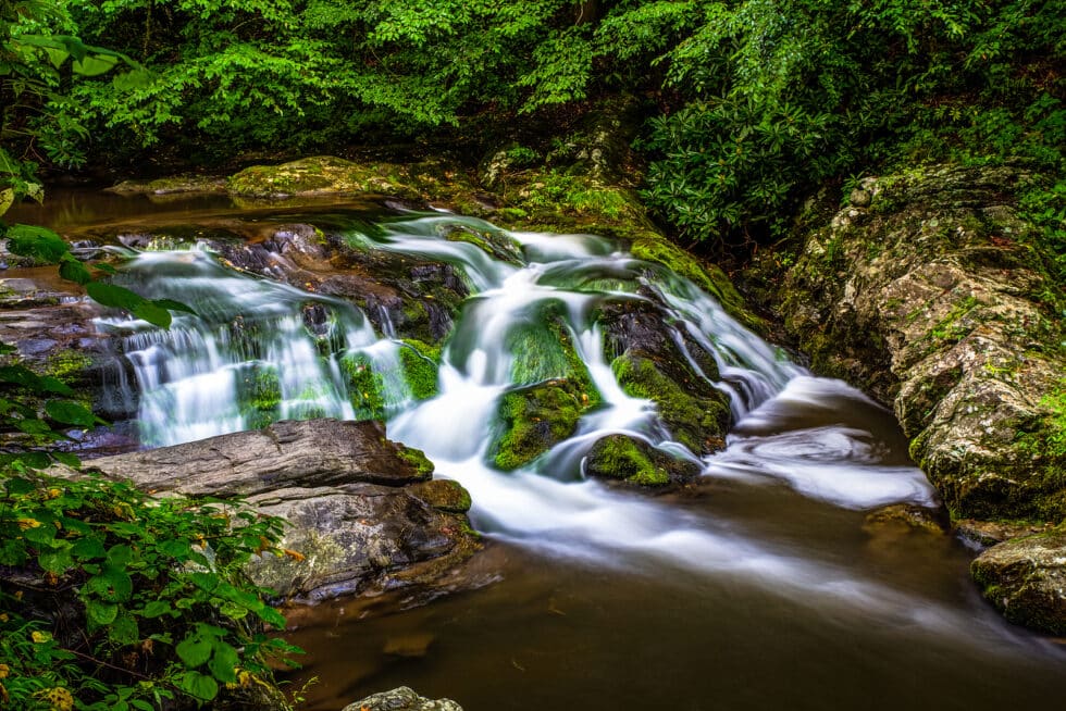 Resort Concierge Escapes Reviews highlights a scenic forest stream that reflects Gatlinburg's natural setting in the Great Smoky Mountains.